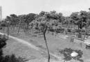 Il parco della ex Ugo Pisa 
