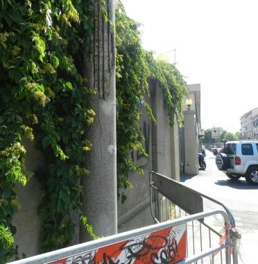 Pali della luce cadono a pezzi