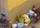 Rifiuti in via Romana ieri mattina 