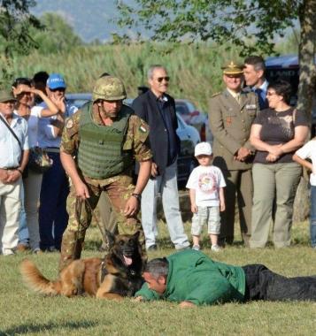 <b>CEMIVET.</b> Una dimostrazione con i cani del Gruppo cinofilo 