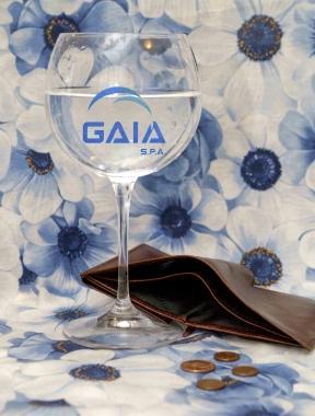 <b>STOP.</b> Fermata la gara per vendere il 49% di Gaia  