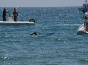 Immersione fatale per un ottantenne