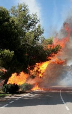 Un momento dellincendio di ieri: oltre tre ore di lavoro dei vigili per domarlo 