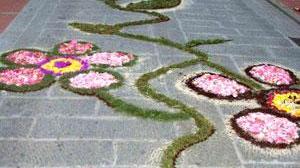 Marina di Campo si veste di fiori