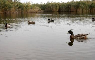 <b>MAGIA.</b> Una veduta del lago 