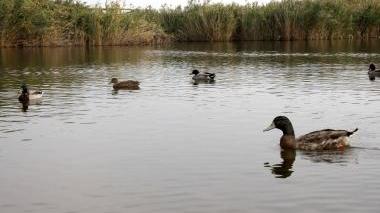 <b>MAGIA.</b> Una veduta del lago