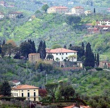 Una veduta delle colline del Montalbano quarratino  