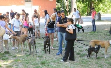 Una manifestazione per salvare i levrieri