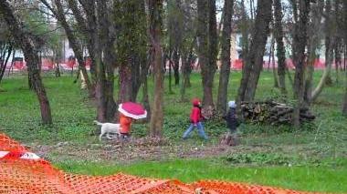Il Bosco in città