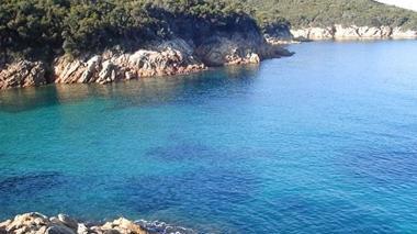 Goletta verde setaccia la Lamaia A Portoferraio il blitz degli ambientalisti