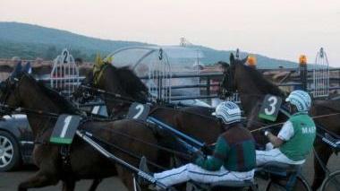 <b>TROTTO</b> Una corsa ai Pini