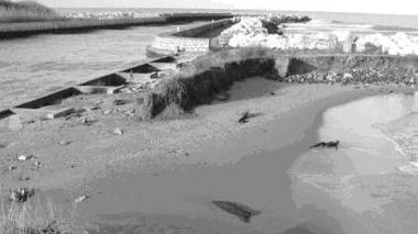 Preoccupa l'inquinamento alla foce del fiume Morto in località Sterpaia