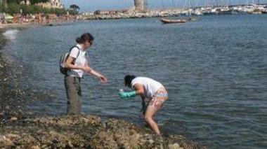 Mare in buona salute, solo due i punti critici