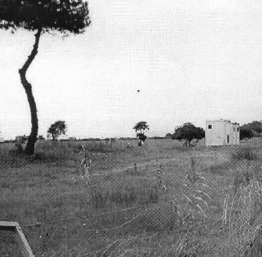 <b>AREA VERGINE.</b> Le ex colonie a Vittoria Apuana    