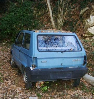 Una Panda abbandonata nel Comune di Camaiore 