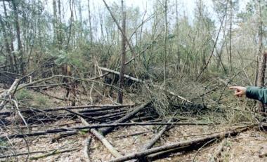 Ecco come si presenta il paesaggio della riserva dopo un incendio    