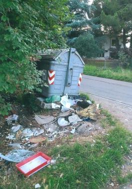 Rifiuti abbandonati allesterno di un cassonetto 