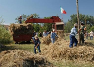 La Festa della battitura 