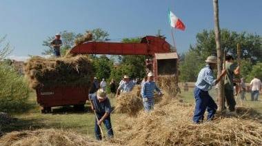La Festa della battitura