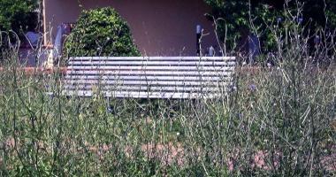 Lerba alta nel parco pubblico di via Firenze fa scattare la protesta 