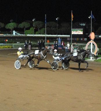 Va in scena stasera la seconda notturna estiva allippodromo Sesana 