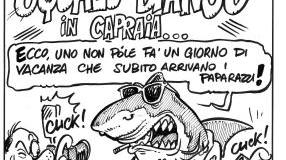 Vignette e simpatiche fotografie I lettori scherzano sul pescecane
