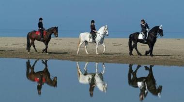 <b>GUIDE </b>A cavallo in riva al mare      