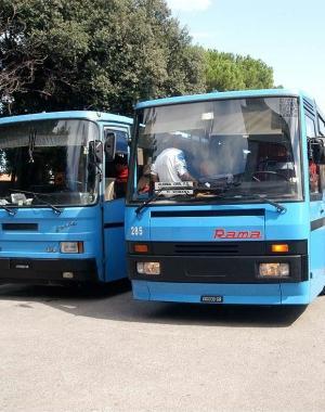 <b>TRASPORTI.</b> Due pullman 