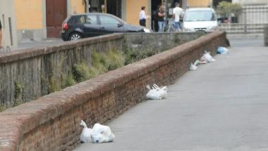 Città sporca, sacchetti non ritirati