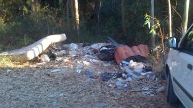 <b>RIFIUTI </b>di ogni tipo in pineta, vicino al parcheggio delle Marze 