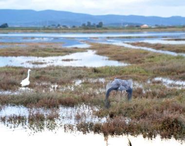 Loasi Wwf degli Orti Bottagone      