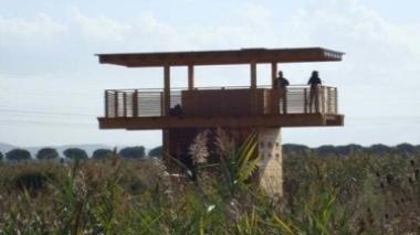 Condominio per uccelli realizzato all'oasi Wwf piombinese