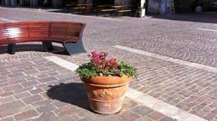 Le fioriere che Antonelli ha voluto lungo corso Matteotti