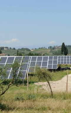 Una distesa di pannelli fotovoltaici 