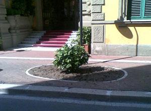 Verde, La Pace "adotta" due aiuole