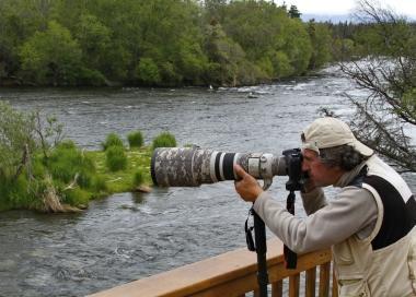 Fabrizio Antonelli impegnato a fotografare i grizzly 