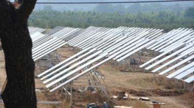 Un parco fotovoltaico davanti casa: «Leggi violate, ricorrerò al Tar»