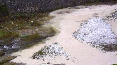<b>INQUINAMENTO.</b> La marmettola nel canale Giardino