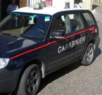 <b>CARABINIERI.</b> In arrivo pi&ugrave; uomini contro i furti 