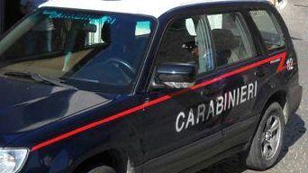 <b>CARABINIERI.</b> In arrivo più uomini contro i furti