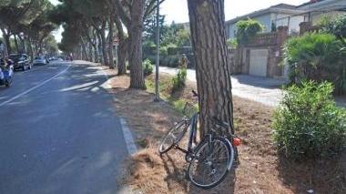La bicicletta della donna investita in via della Repubblica