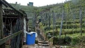 Uno dei tanti smottamenti sulle colline del Candia