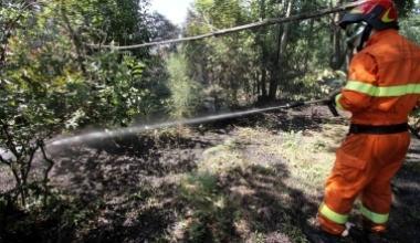 Incendio doloso distrugge oltre un ettaro di bosco