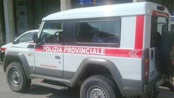 Un mezzo della polizia provinciale