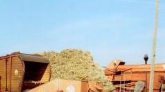A Barga si rievoca la trebbiatura del grano