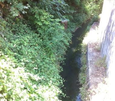 Cattivi odori dal Canale nuovo