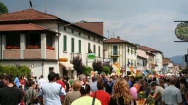 Folla nel centro di Fornaci