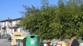 Cassonetti per i rifiuti