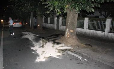 <b>LIMPATTO.</b> Lalbero contro cui &egrave; finita lauto 
