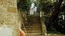 Anche visite su richiesta per i gruppi